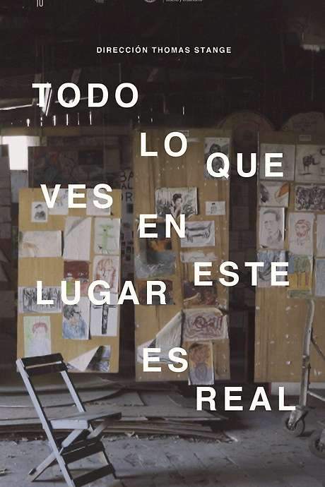 Set in Buenos Aires' historic Borda psychiatric hospital, the documentary follows two patients who turn to art as a respite from their monotonous routine. It juxtaposes the idealistic aspirations of the interns with the stark, everyday reality of life inside the institution, revealing the tension between hope and hardship.